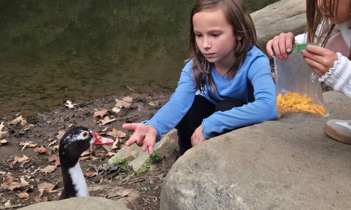 Water Valley RV Rental | campground,fishing pond/farm petting and feeding, bright stars/fruit trees fire