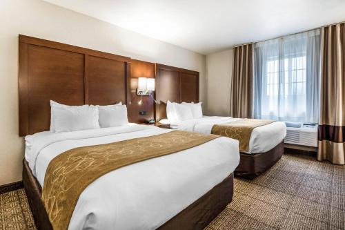 King Hotel | Comfort Suites at Par 4 Resort