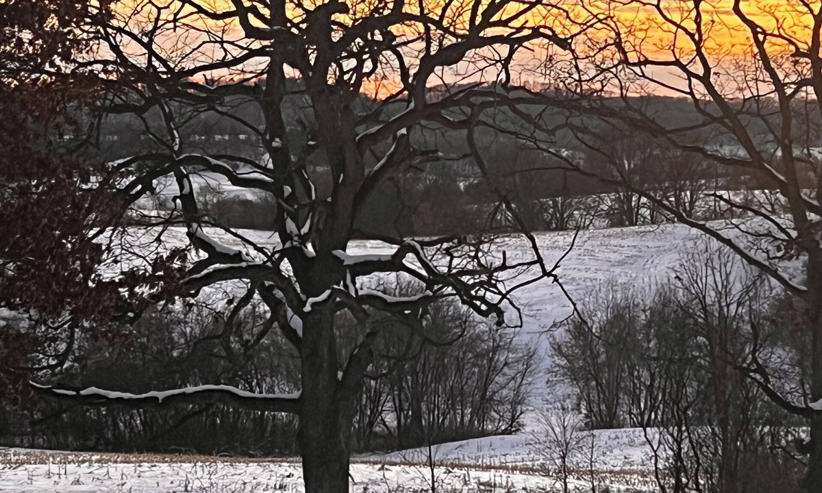 Elroy House | Scenic views on 20 acres! The Family Cabin awaits. Sleeps 10