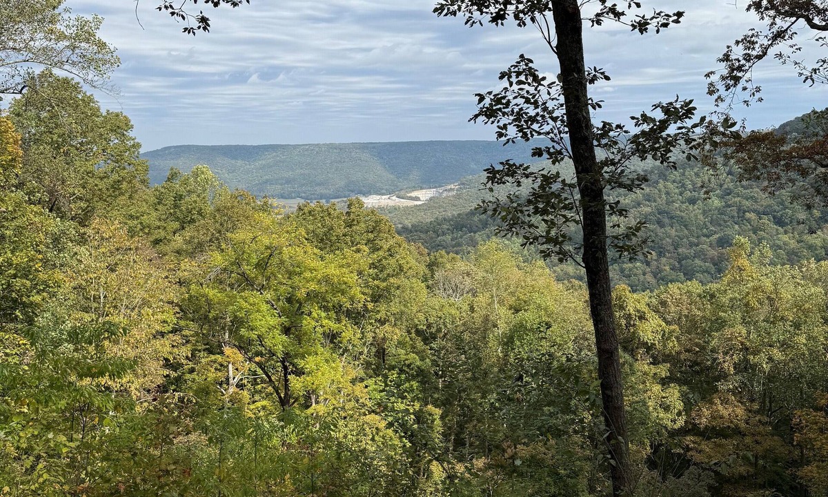 Morrison House | Secluded House on Cumberland Plateau with breathtaking views nestled on 60 Acres