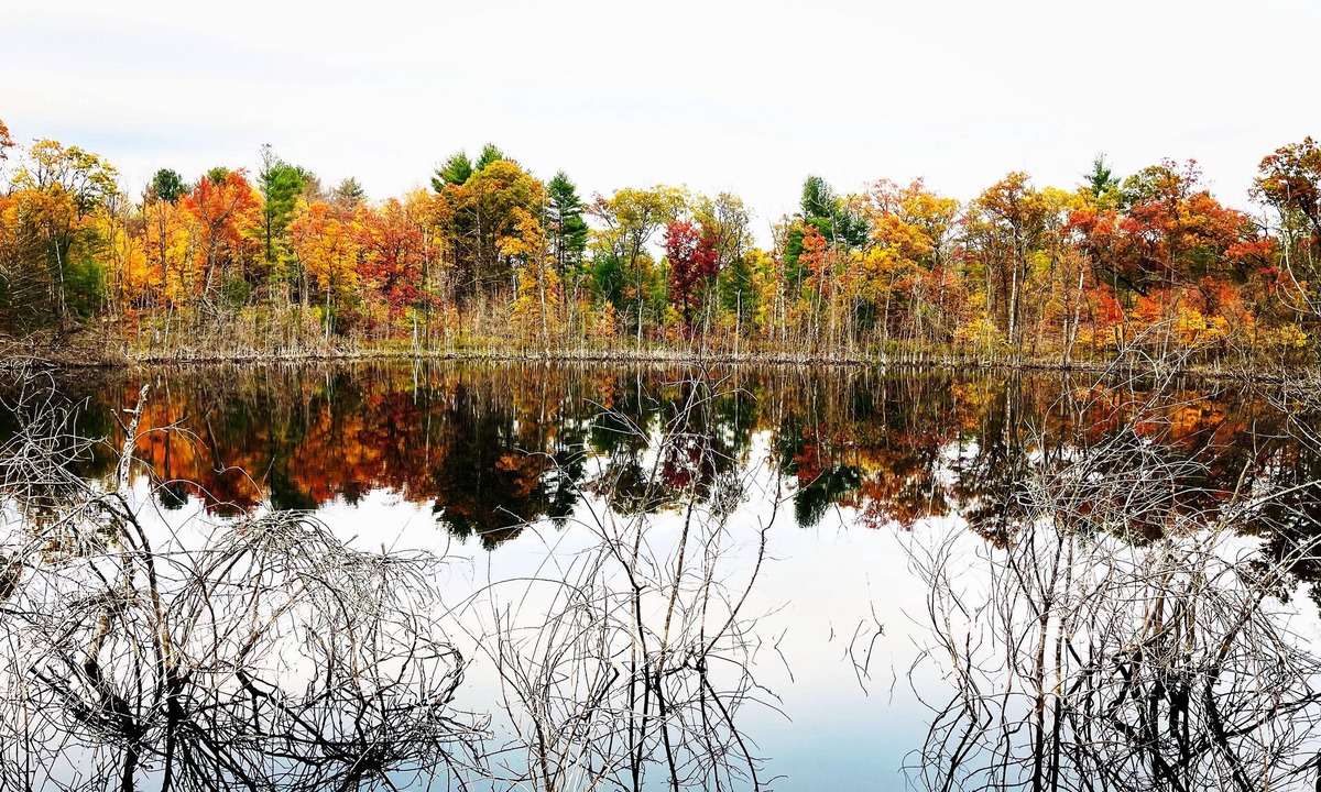 Plainfield Cabin | Swimming,boat,kayak,fish,BBQ,ATV,hike,Huge Deck,pets,Nordic MT- ski,tube,private