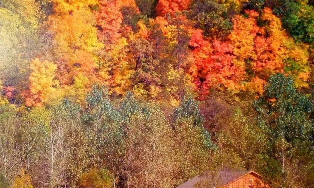 Waterville Cabin | Trout Lodge w/Hot Tub and Trout Stream