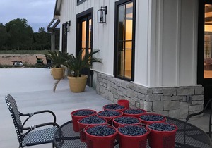 Rosete Family Farms - Guest House