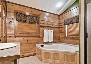 Secluded Cabin in the woods Wifi Jacuzzi Fireplace