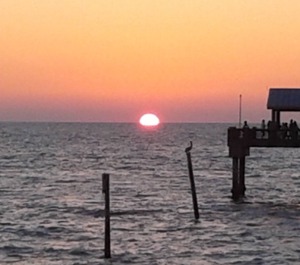 Bay Clearwater 