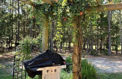 Eureka Springs House | The Fairy Hut @ Iris Hill Glamping