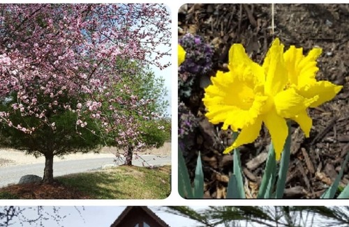 Big Cedars Cabin | 3 Bedroom Cabin Wilderness Club at Big Cedar, November 17-24, 2023