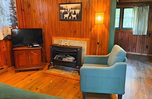 Hot Springs Cabin | 4-OH, DEER! Vintage updated Cabin, On the Lake-Swim-Fish-Docks-Pet Friendly!