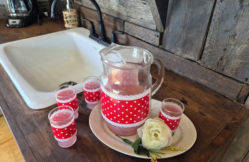 Protem Cabin | 5 min to lake Farm Luxury/couples Romantic getaway/Hot Tub