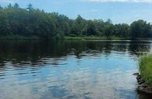 Merrillan Cabin | Arbutus Lake Front Cabin, Neillsville! ATV trails and dock for your boat on site