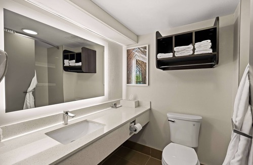 Little Rock Hotel | Best Western Shackleford