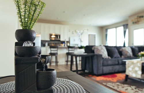Springfield House | Brand-New Home in Springfield Missouri Near Ozark Empire Ground