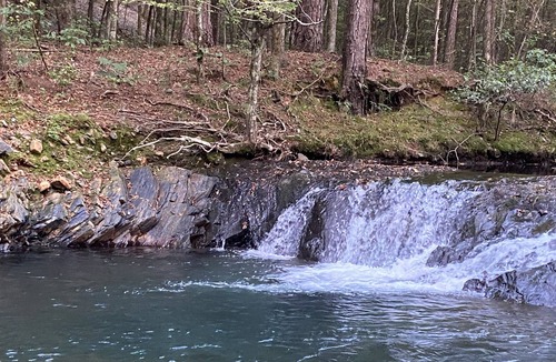 Pine Ridge RV Rental | Brookside RV Retreat Site #4 - Big Fork Creek Access - Close to Wolf Pen Gap