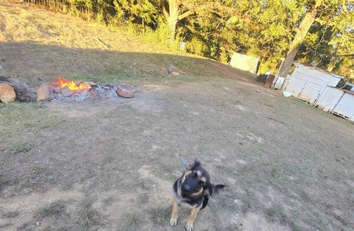 Water Valley RV Rental | campground,fishing pond/farm petting and feeding, bright stars/fruit trees fire