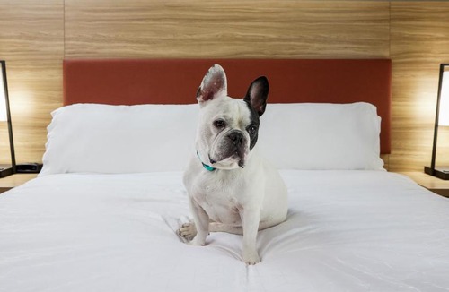 Junction City Hotel | Candlewood Suites Junction City - Ft. Riley by IHG