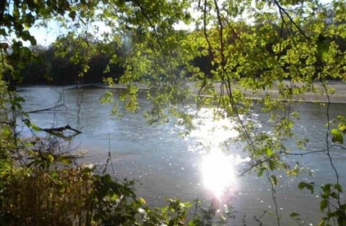 Freedom RV Rental | Celtic Glen Farm Stay - Shadow of hedge H