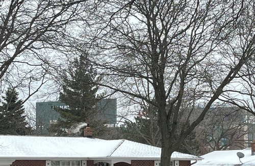 Green Bay House | Charming 2-bedroom duplex in the heart of Titletown - 7 min walk to Lambeau