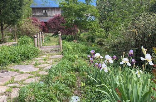 Como Cabin | Charming Log Cabin Retreat with Flower Garden