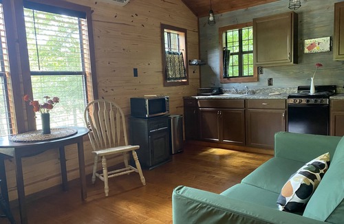 Pettigrew Cabin | Creek Cottage, in the Ozarks!