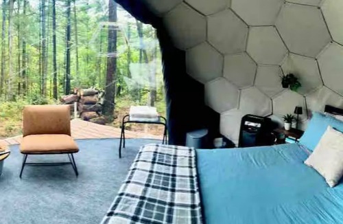 Wisconsin Dells Cabin | Dells Domes - Riverview Escape - Glamping Dome 4