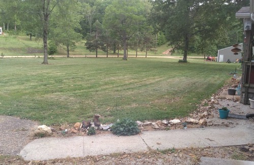 Gipsy Other | Escape to. Nature 40acres of beauty. 3br 2ba with trails, creek2 car garage .