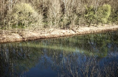 Greeneville House | Fully Furnished Cabin Rental with Fire Pit near Cherokee National Forest