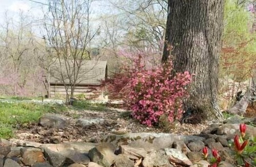 Eureka Springs Cabin | Mountain Top Eureka Springs Cabin with Full Glass Front Best Views in Eureka