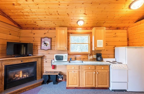 Mountain Cabin | Perfect for Couples, Pet Friendly, Bear Theme, Log Cabin, Fireplace