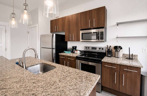 The Gate Apartment | Pet-Friendly 1BR Opposite SSM SLU Hospital with Parking