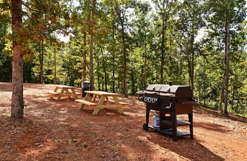 Buchanan House | PET FRIENDLY 🐾 Cabin#5 Swan Bay Cabins & RV Park, Paris Tn, Kentucky Lake