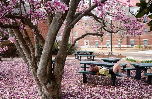 University Condo | Quick walk to Campus/The Square & 3 Parking Spots!