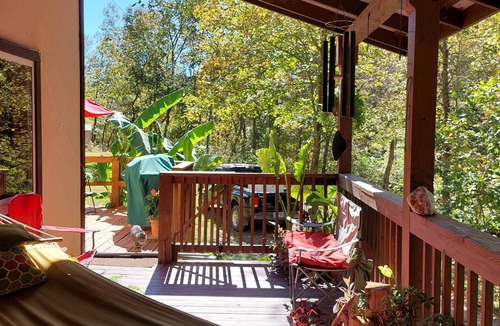 Sylvan Shores House | Relax and Rejuvenate in this Peaceful, Wooded Oasis.