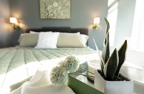 Lafayette Square Apartment | Rooftop deck, massage chair, fireplace, king bed, cool shower
