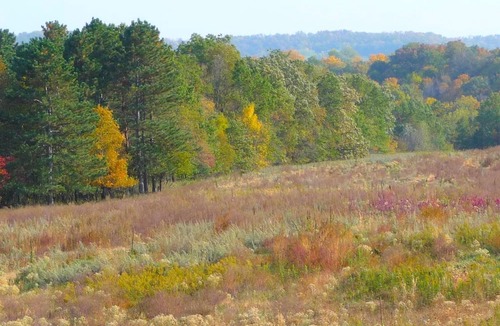 Littleport House | Rustic 1850s Cottage Rental on 10-Acres near Wyalusing State Park, Iowa