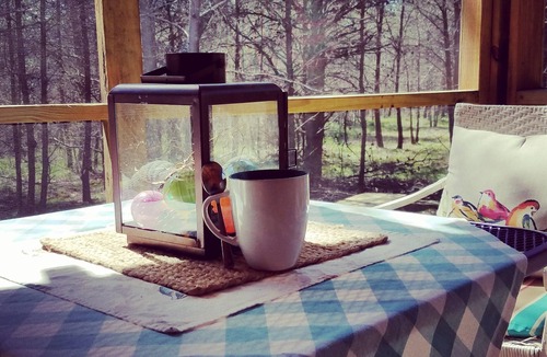 Mentone Cabin | ♥ Sleep in the woods, wake to the birds - Hot tub, King bed, PRIVACY!