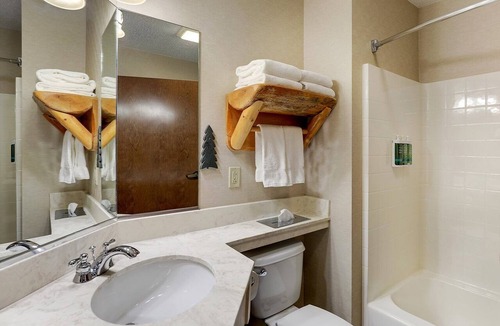 Moline Hotel | Stoney Creek Moline Stay w/Onsite gym | 1 King Bed | 4.0 mi to Figge Art Museum