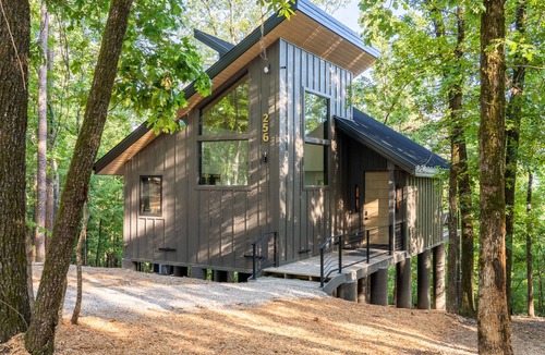 Hot Springs Cabin | The Beaver Cabin- In the Trees Resort