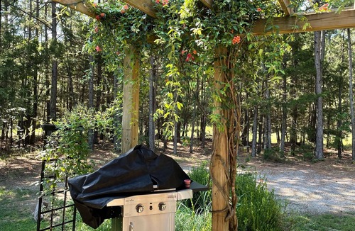 Eureka Springs House | The Fairy Hut @ Iris Hill Glamping