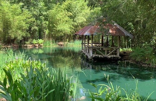 Arkadelphia Cabin | Tropical Treehouse surrounded by Jungle Gardens