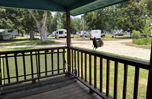 Lake Village Cabin | Turn On Inn