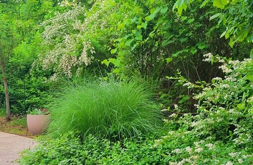 Hickman Cottage | Wayfarer's Inn: Cottage Suite Nestled in a Woodland Setting Near Historic Square
