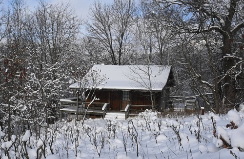 Norwalk Cabin | Your adventure begins the second you arrive!