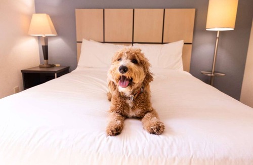 Brentwood House | Your Home Away from Home! 4 Spacious Units, Full Kitchen, Pets Allowed!