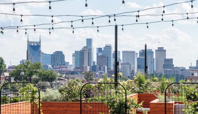 2 Boutique Getaway Rooms w/Plant-Lined Outdoor Lounge for Stylish Stays!