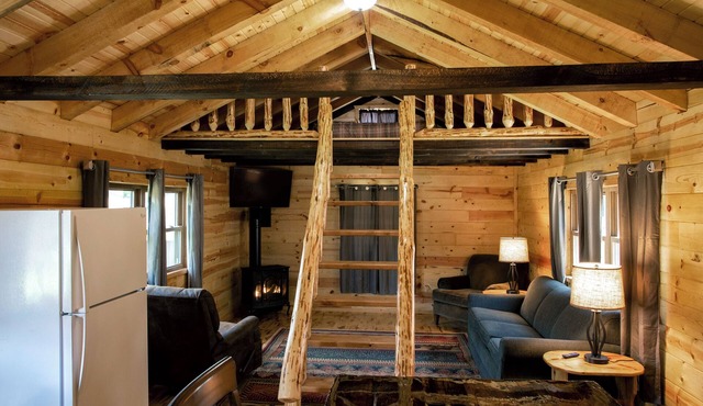 Badger Cabin #7 w/Lofts, Fireplace & WiFi