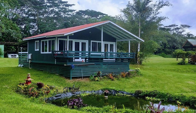 Bowman's Big Island Guest House, Lava Tree State Park, Night Market, Beach