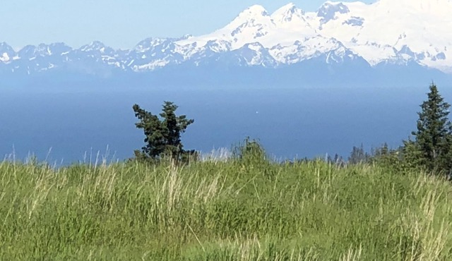 Breathtaking View and Tranquility: A Rustic -Lovely Homer Experience
