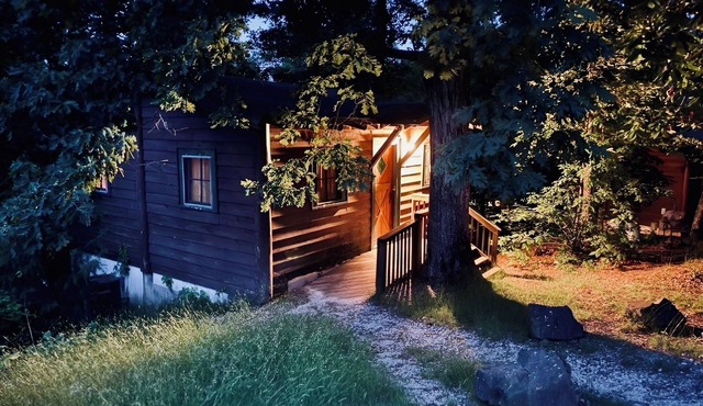 C-FOR THE BIRDS! Vintage Style Cabin -On the lake-Swim-Fish-Docks-Pet Friendly!