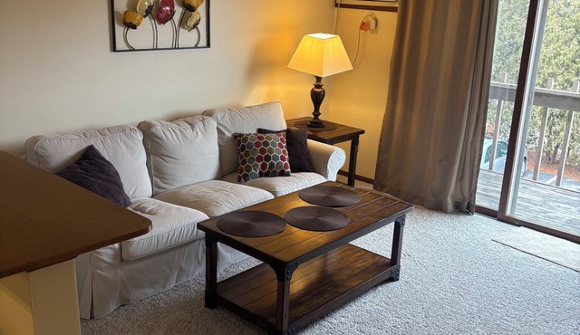 Cozy 1-bedroom apartment in Downtown Neenah