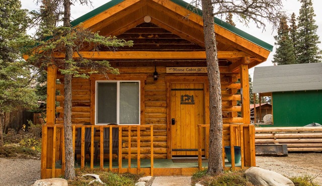 Cozy Wolverine Cabin Close to Denali